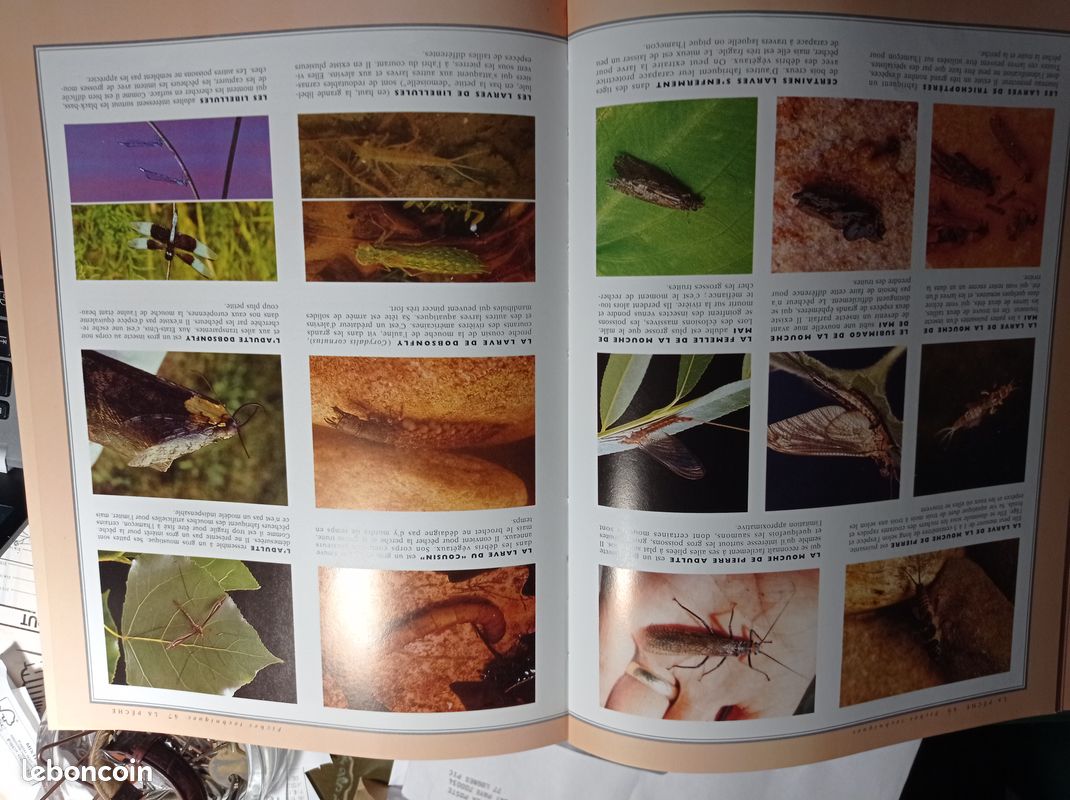 Vends "la pêche et ses techniques" (image 3)