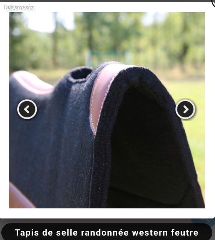 Tapis feutre de Laine à renforts cuir | equi-d