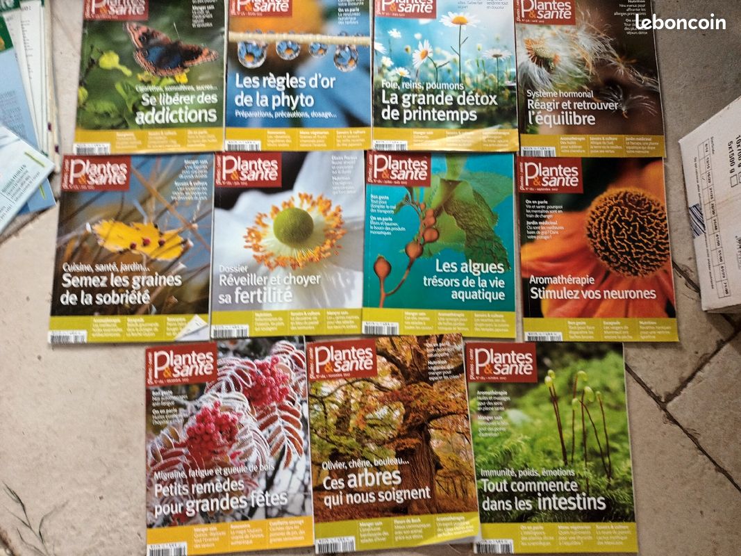 Plantes et santé (image 2)