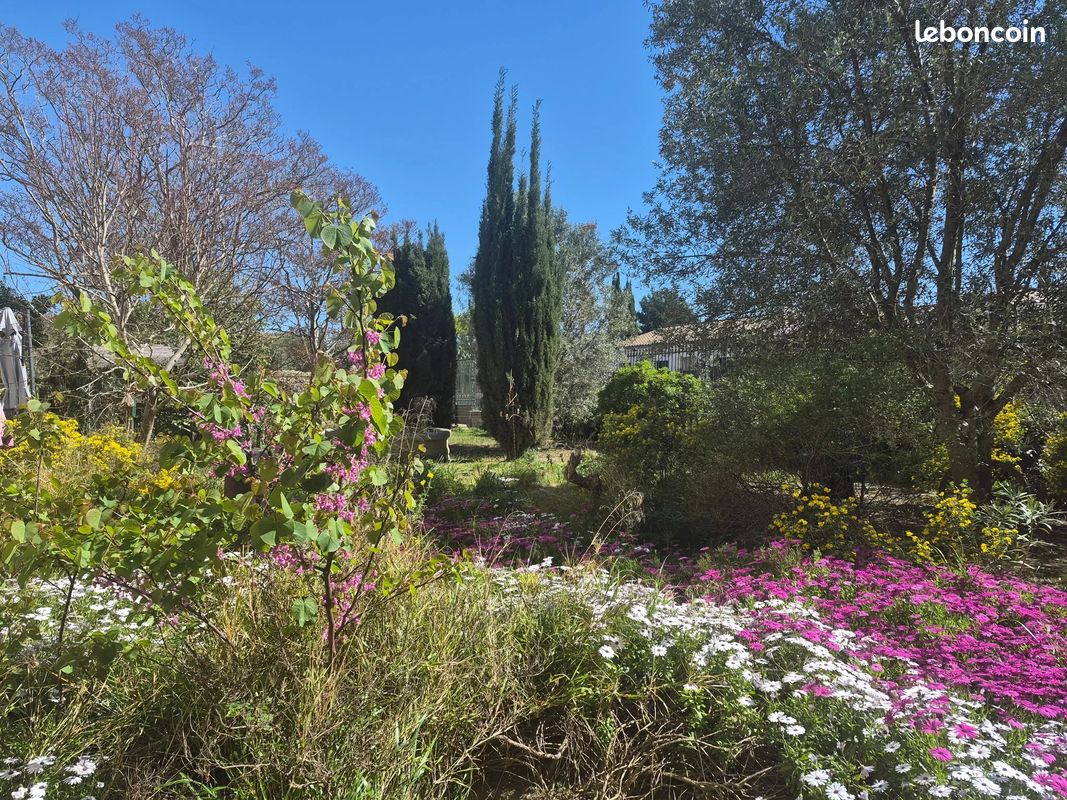 Maison 12 pièces 455 m² · à Canet · 455 m² · 495 000 €