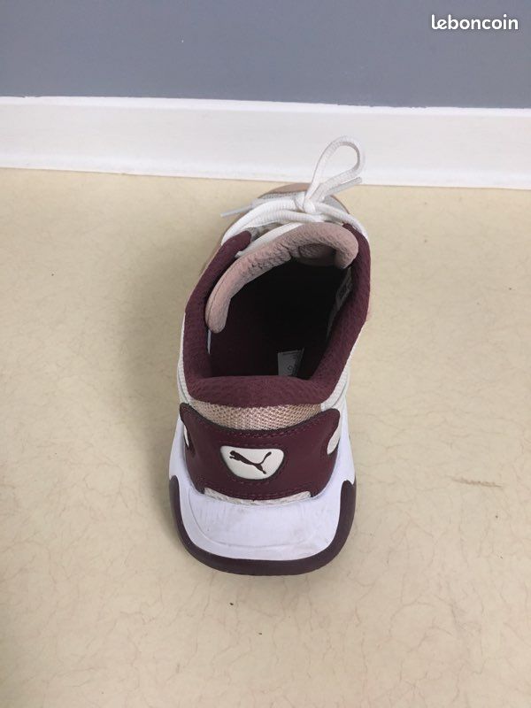 Puma (image 5)