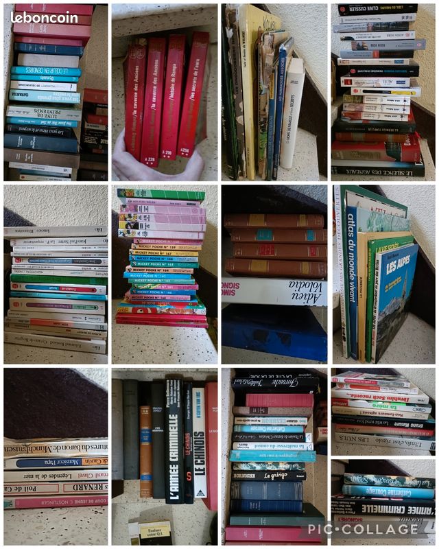Livres divers styles (image 1)