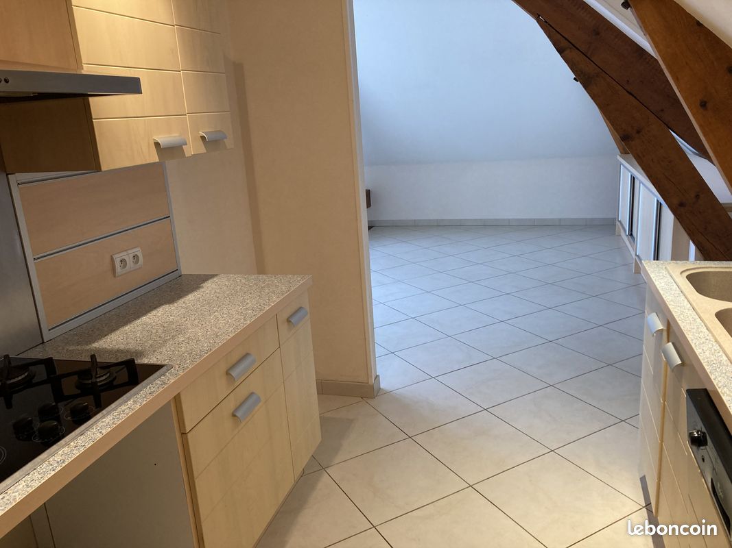 Appartement 3 pièces 109 m² - Tulle 19000 (image principale 11)