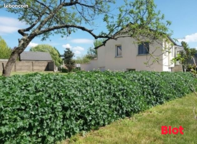 Maison 3 pièces 66 m²