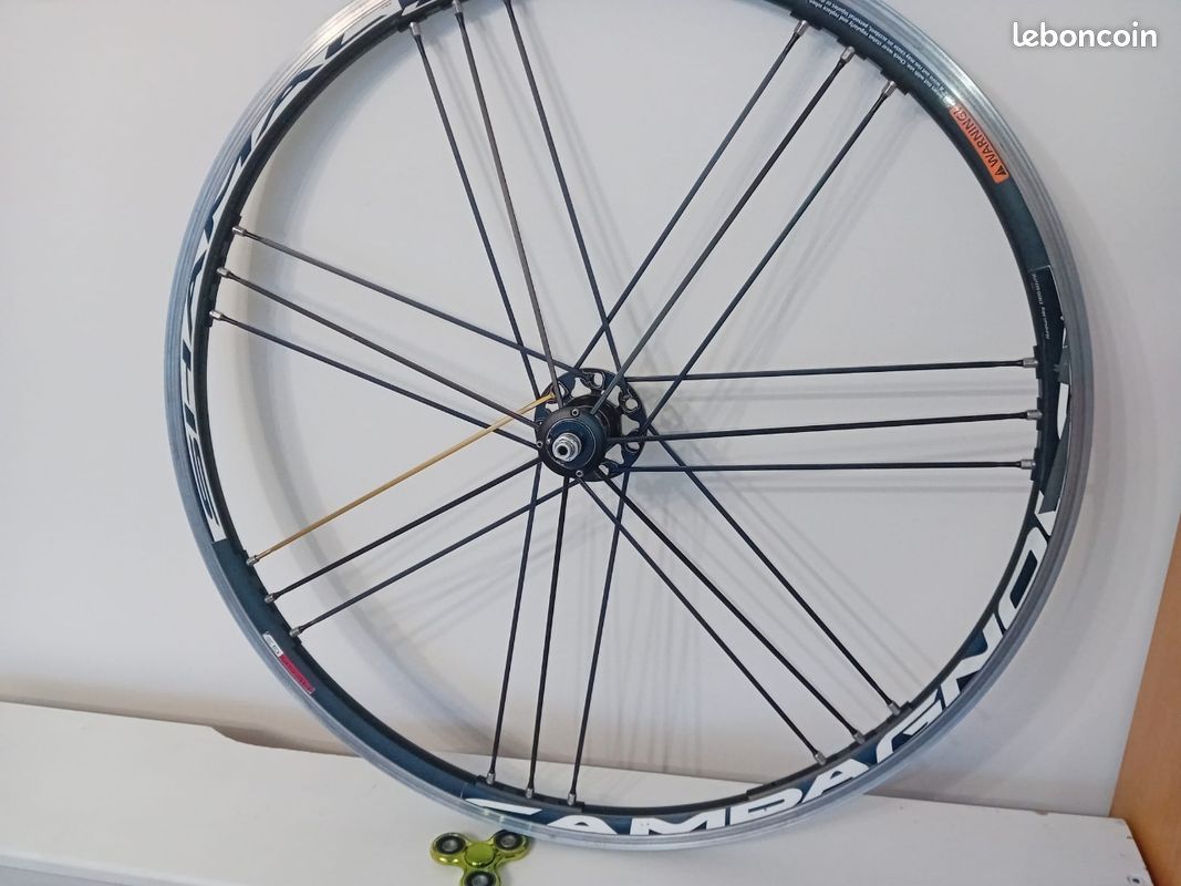 Rayon arrière droit Campagnolo shamal mille - noir/blanc - Sport