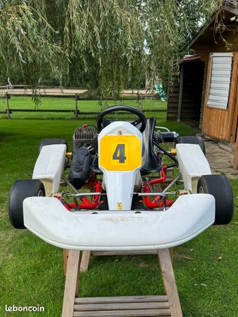 Karting Yamaha Avec Moteur Rotax 125cc - Occasion En Très Bon état - Réglé Par Pro - Vente Suisse (retrait Uniquement)