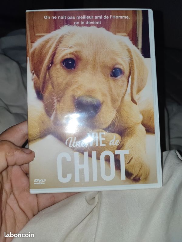 Une vie de chiot (image 1)