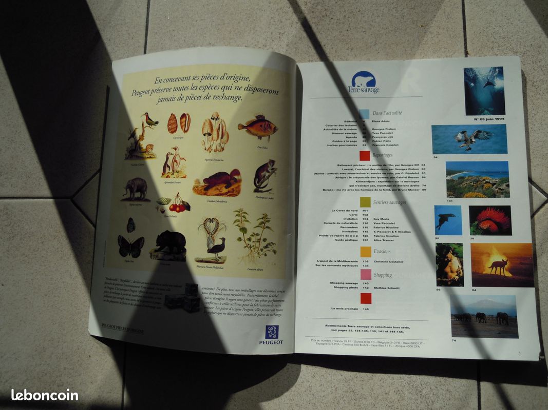 Terre sauvage n°85 (image 2)