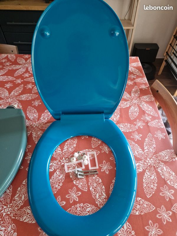 Castorama Cuvette Wc Bleu Canard Abattant Wc Bricolage