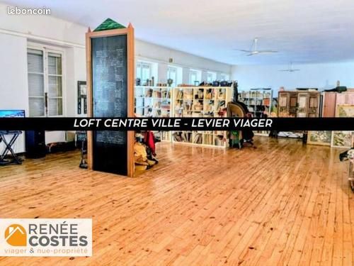 Appartement en Viager 1 pièce 240 m²