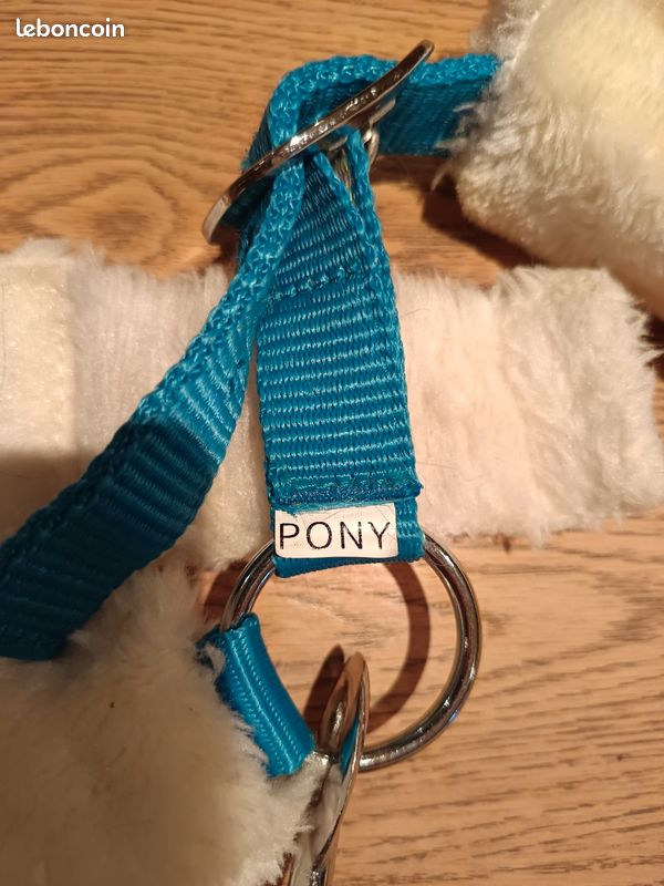 Licol taille Pony et longe équitation (image 5)