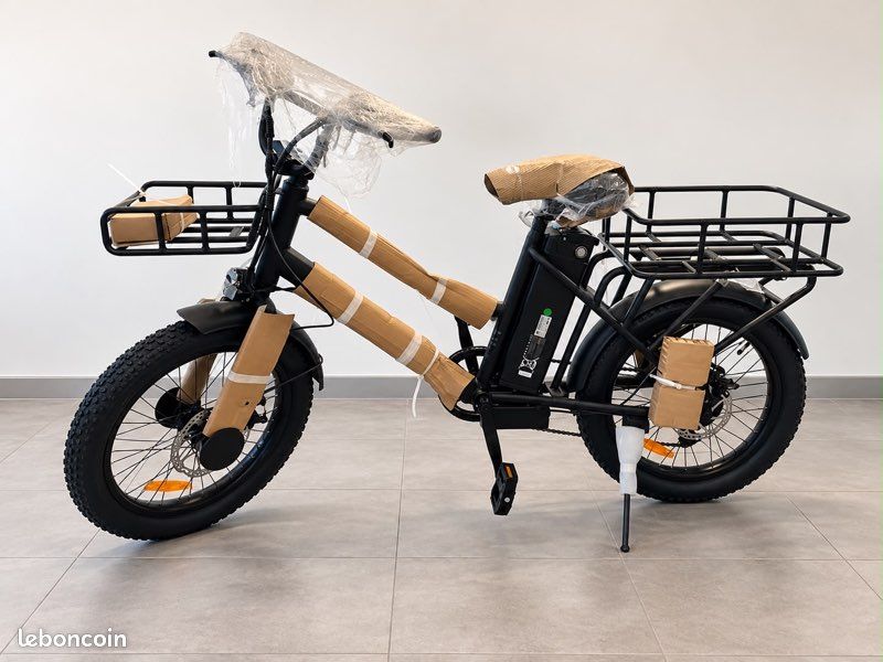 Vélo cargo électrique CARGONESS, modèle CARGONESS-VAE-01 (image 1)