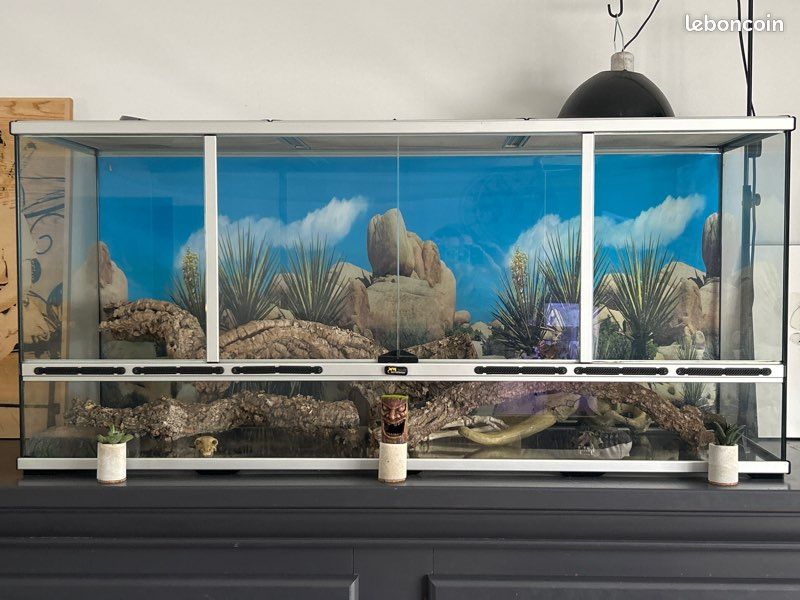 Terrarium (image 1)