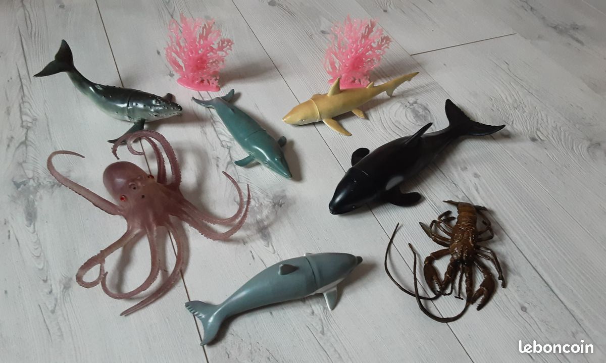 Animaux marin (image 1)