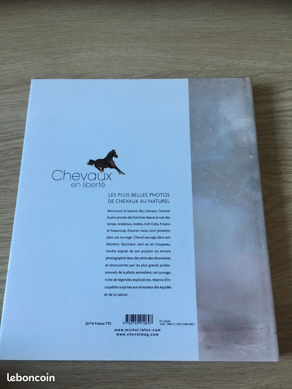 Chevaux en liberté (image 2)