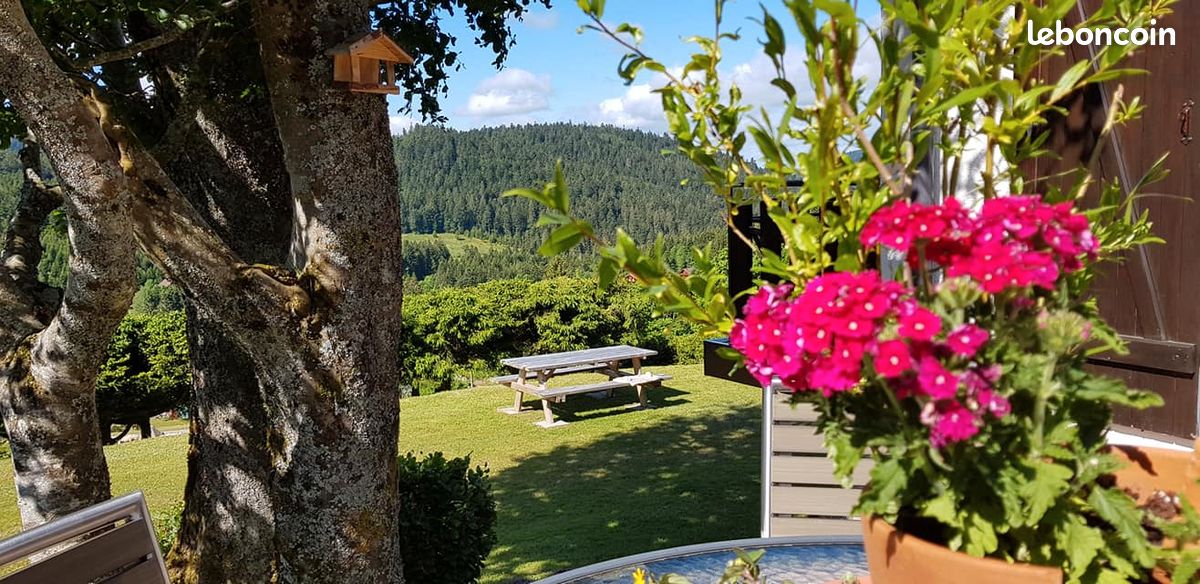 Chalet de montagne 4* GERARDMER 6 personnes (image 17)