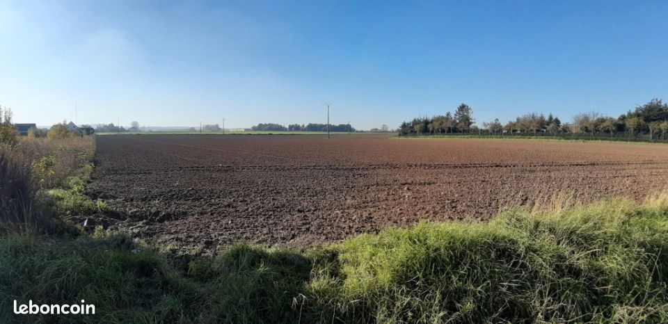 Terrain 389 m² · à Sains-en-Gohelle · 56 405 €