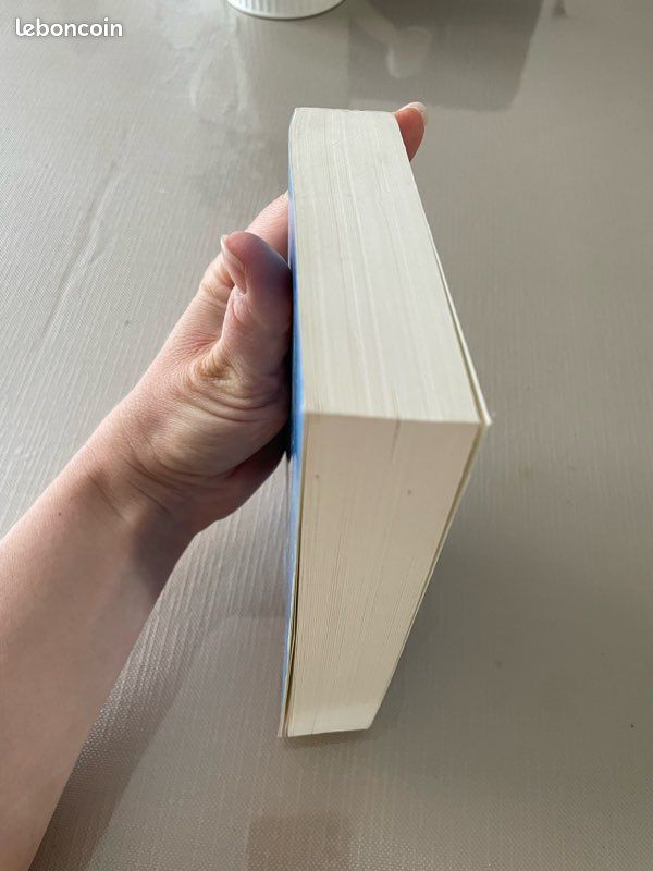 Livre les tribulations d’une jeune divorcée (image 4)