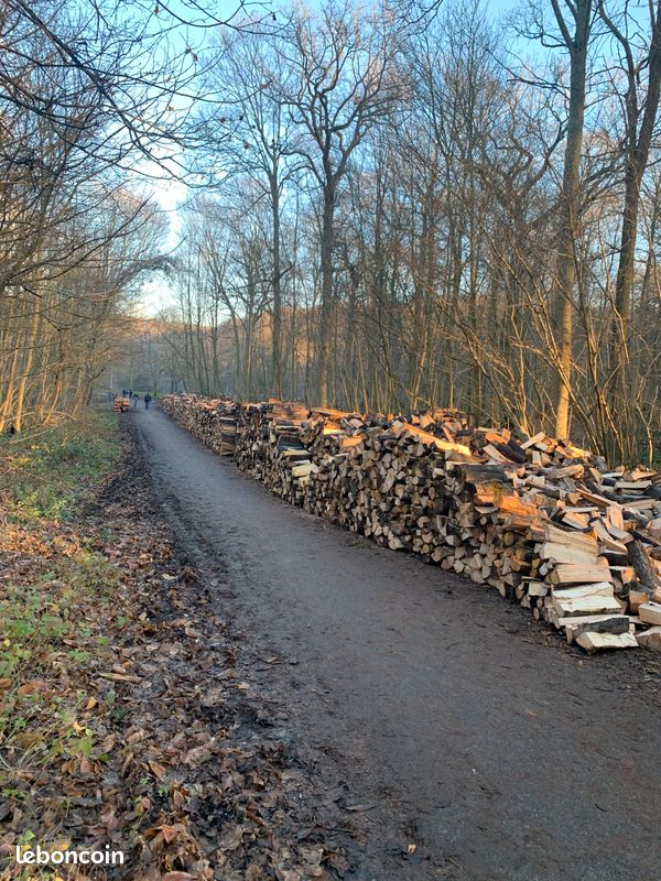 Bois de chauffage (image 2)
