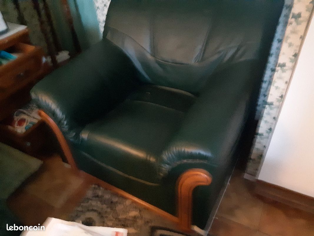 1 très beau fauteuil vert foncé (on est bien chez soi) (image 1)