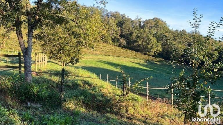 Propriété 7 pièces 360 m² - Jurançon 64110 (image principale 10)