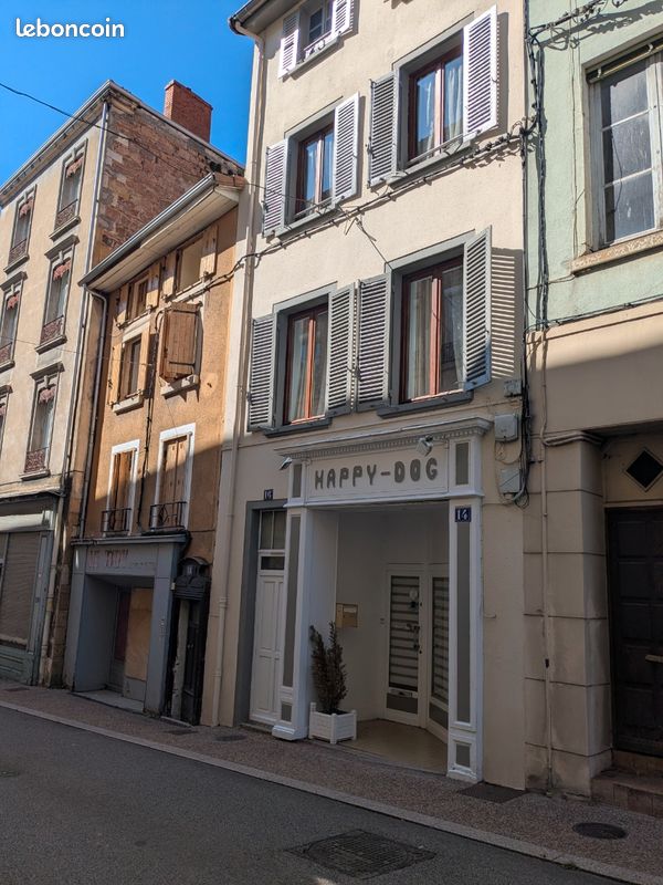 Appartement 6 pièces 130 m² · à Thizy-les-Bourgs · 130 m² · 135 000 €