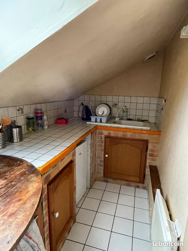 Appartement T1Bis 35m2 meublé avec mezzanine - Limoges 87000 Centre-Hôtel de Ville Emailleurs (image principale 4)