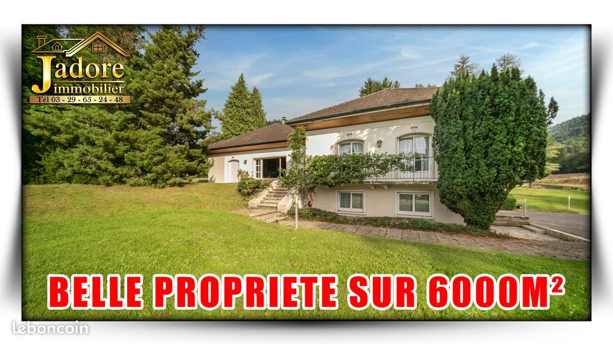 Maison 8 pièces 250 m² · à Saint-Dié-des-Vosges · 250 m² · 283 000 €