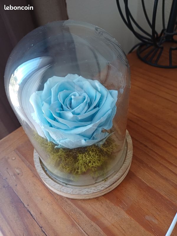 Rose éternelle (image 2)