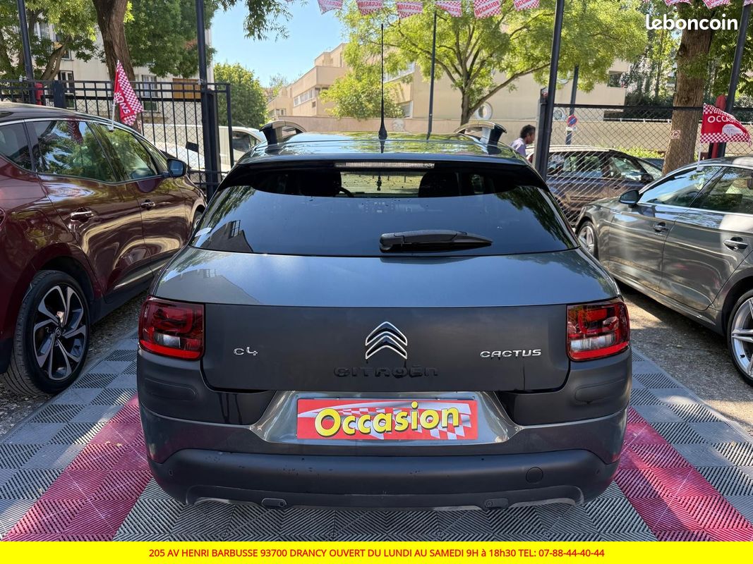 CITROEN C4 CACTUS 1.2 thp 110 SS Shine (image 13)