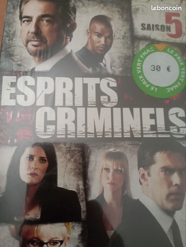 DVD esprit criminel (image 2)