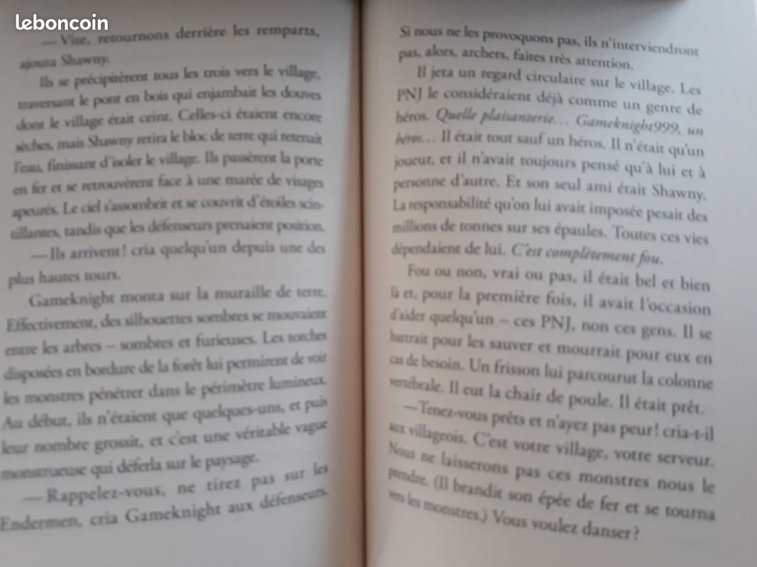 L'invasion de l'overworld (image 2)