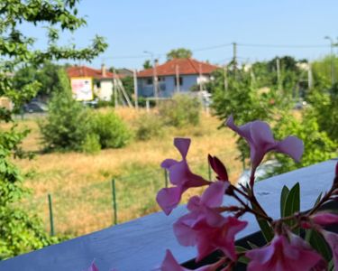 Appartement 220 000 € - 61 m²