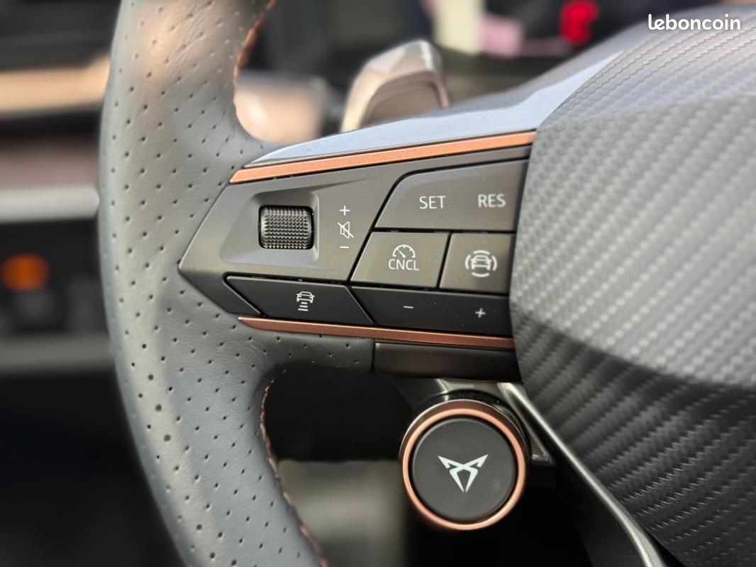 Cupra Formentor 2.0 TDI 150 ch DSG7 V (image 19)