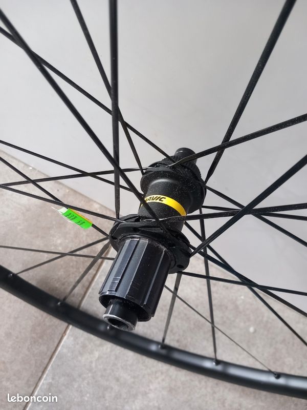 Rayon Mavic Ksyrium Equipe 300 Mm Argent - Neuf - Pour Roue Arrière