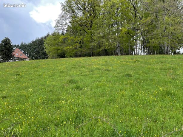 Terrain à bâtir de 1774 m² à LAFEUILLADE-EN-VEZIE (15)