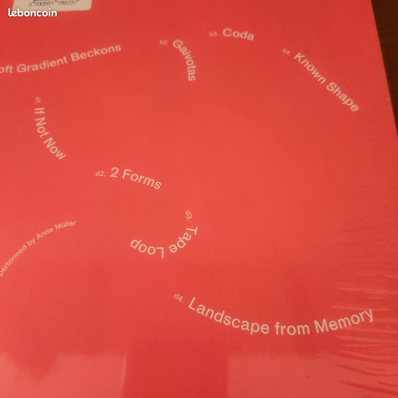 Vinyle Rival Consoles - Landscape From Memory (image 5)