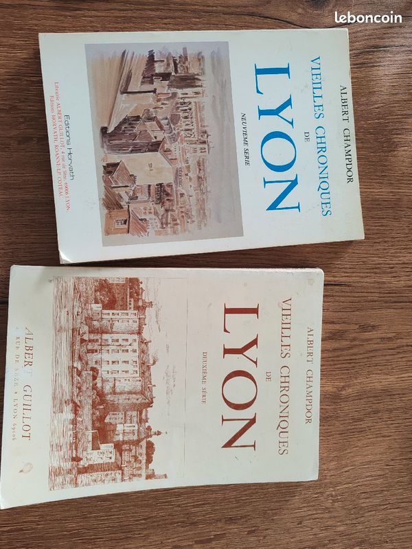 Lot pour amoureux de Lyon (image 9)