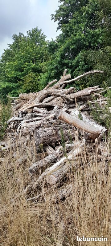 Bois de chauffage (image 3)
