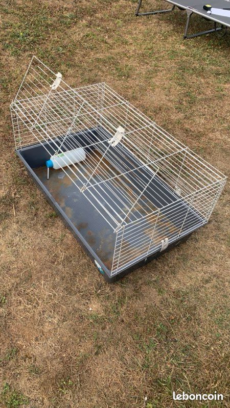 Cage pour lapin (image 2)