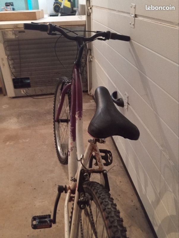 Vélo ado / adulte (image 2)