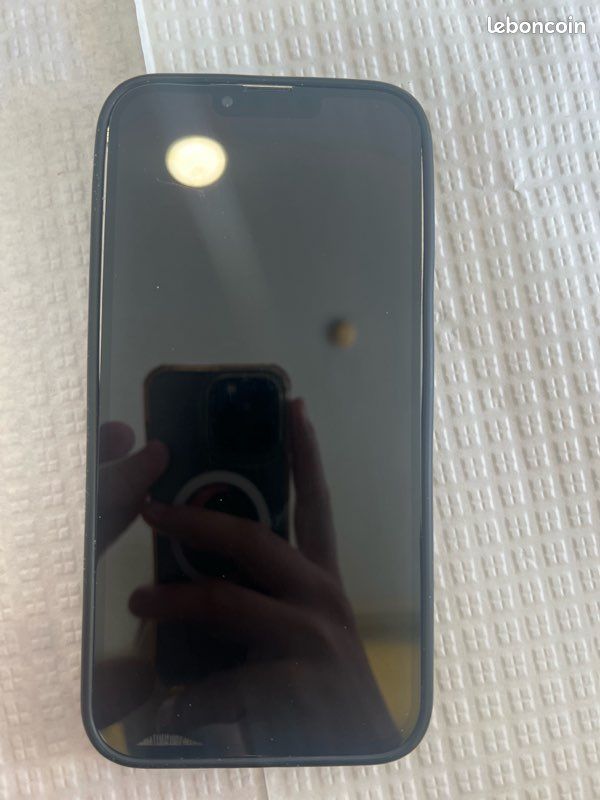 IPhone 13 Pro Max à vendre ou échange (image 1)