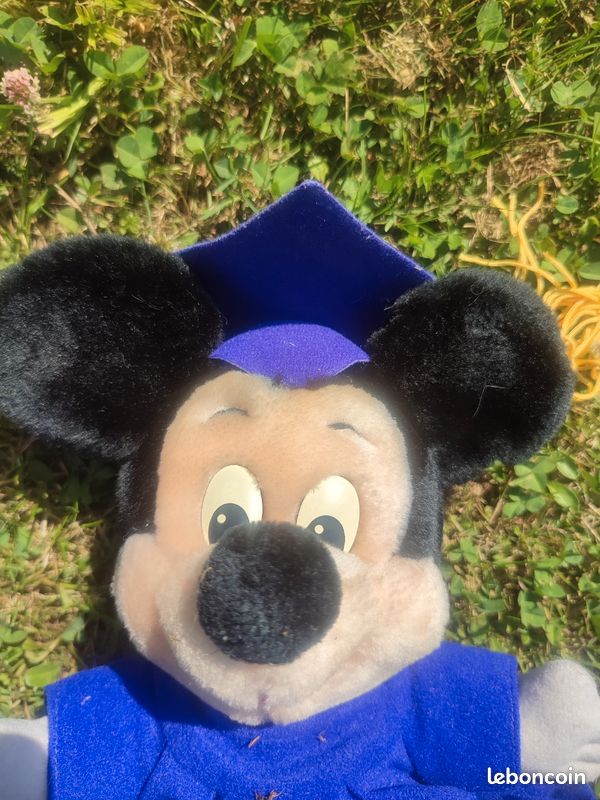Peluche Disney Mickey remise des diplomes (image 4)