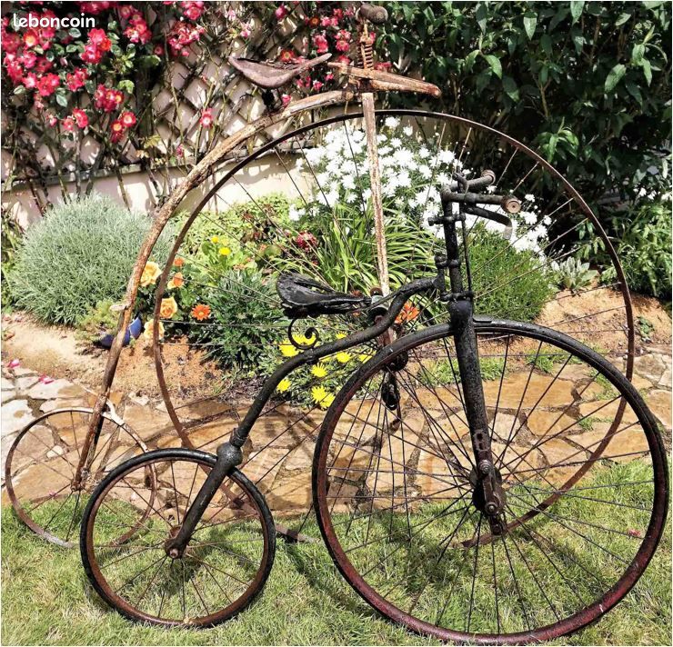 Molteni VÃ©lo Eddy Merckx Vintage Bicycle Velo Grand Bi Occasion