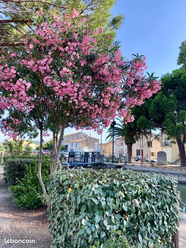 Maison 3 pièces 80 m² · à Sallèles-d'Aude · 80 m² · 89 000 €