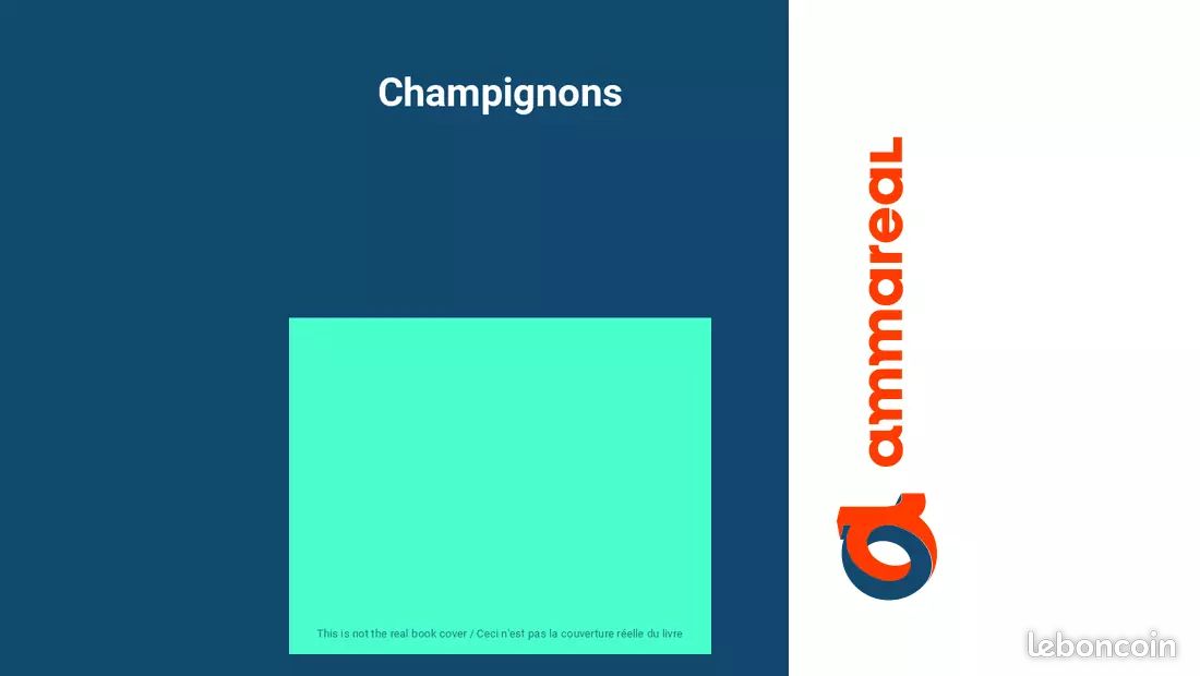 Champignons (image 1)