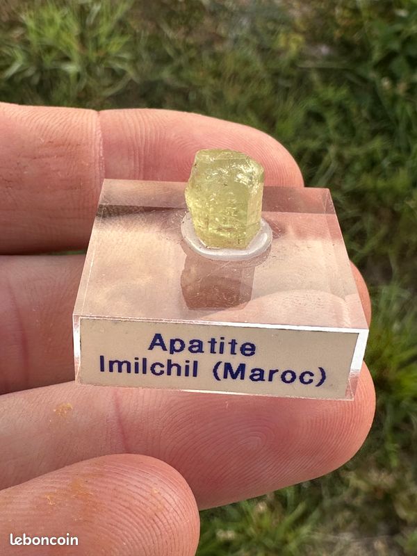 Minéraux / Minéral / Apatite / Imilchil (image 5)
