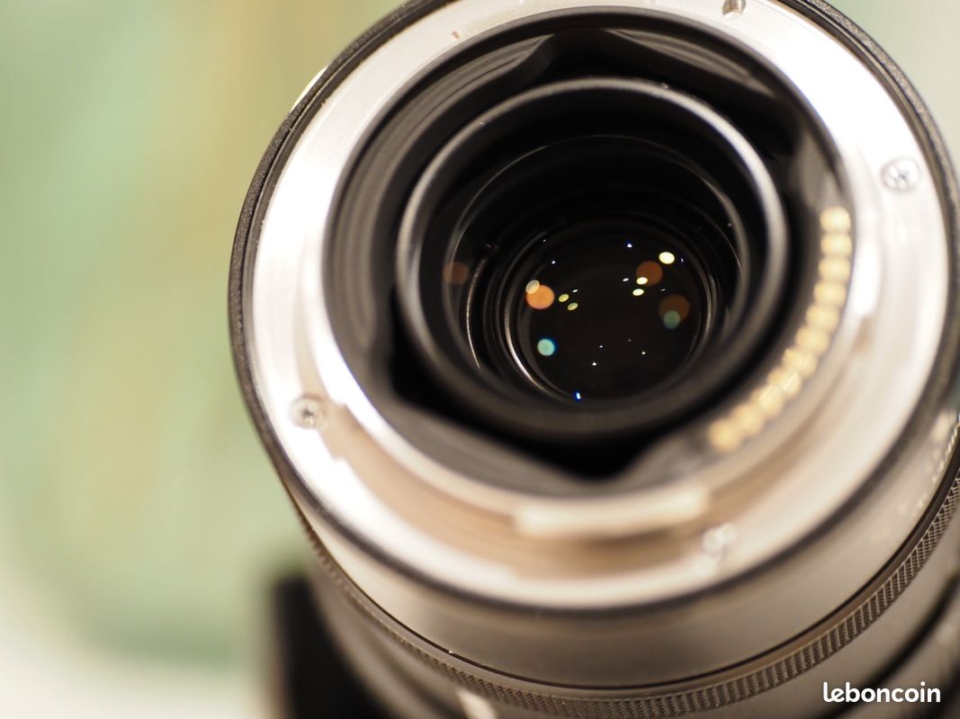 Nikon Nikkor Z 24-120mm F4 S (image 11)