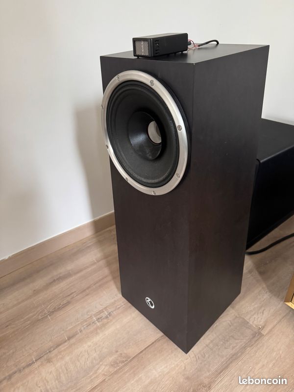 Enceintes Zu Audio Druid V - 150 W RMS - Occasion Bon état - Haut-parleurs Stéréo Filaires