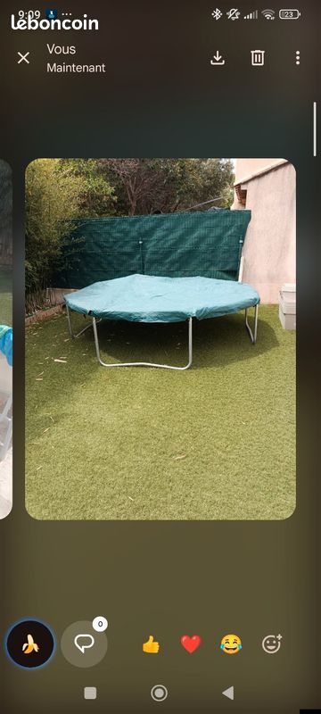Trampoline Octogonal Domyos 300 Decathlon + Bâche de protection (image 1)